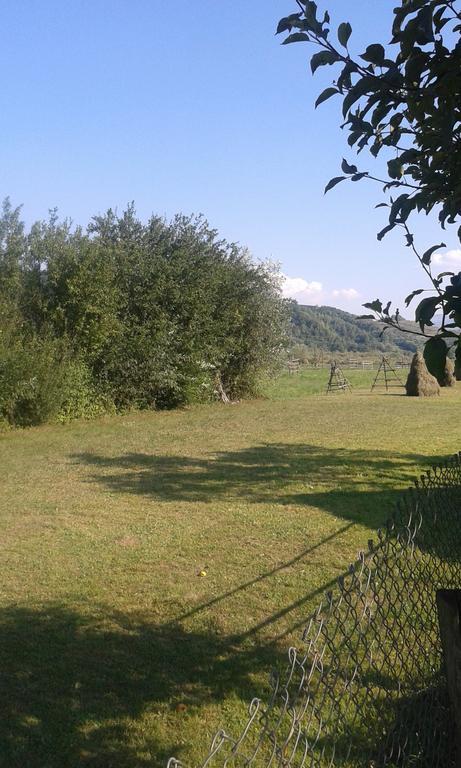 Pensiunea Popan Şieu 外观 照片